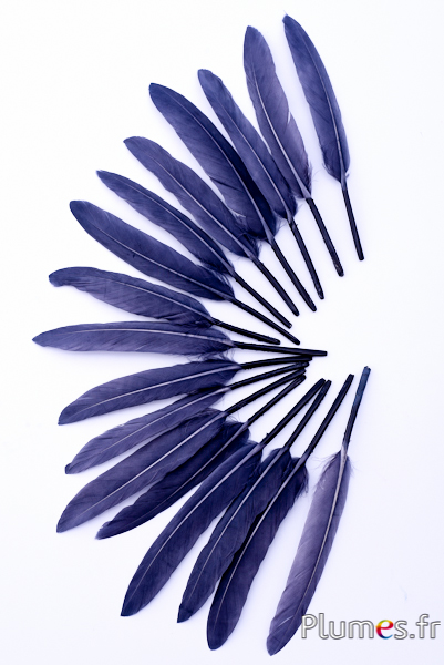 Oie Lame - 10-15 cm - anthracite